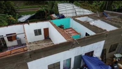 狂风吹袭掀翻屋顶 斗湖地标大树倒下