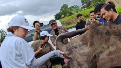 刘静芝：访客恢复至疫前91% 沙今年350万游客可期