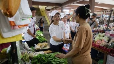 艾德娜：水灾投诉最多 下南南治水列首要任务