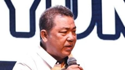 谭永福：进出口贸易额落差大　沙亟需强化下游业