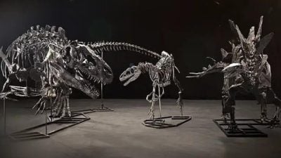 涉新加坡30亿洗钱案 苏炳海英国资产被没收 含逾2000万新元恐龙化石