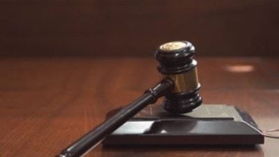 离婚后讨不回2犬 女告前夫被驳回