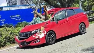 树枝掉落砸穿汽车挡风玻璃 3人送院