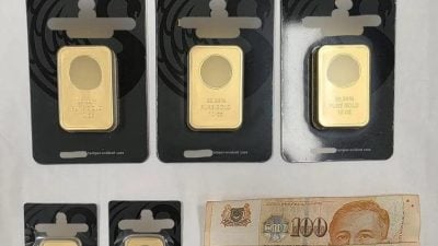 涉3起假冒政府官员诈骗案 七旬大马籍女子被捕