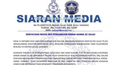 4岁男童头部重伤入加护病房 . 母疏忽照顾还押诗巫监狱