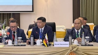 出席东盟交长会议．交长拜会缅甸总理