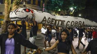 COP30不指望达成新重大气候协议｜巴西推动履行现有承诺的“行动议程”