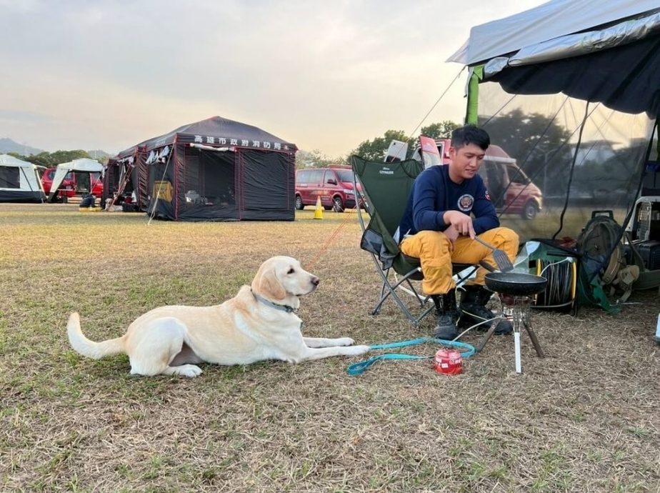 台湾花莲搜救犬HERO通过认证 获国际救援轮值资格