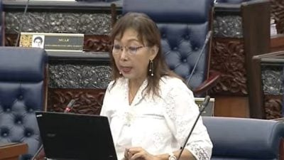 “伊党治理下游客打退堂鼓”　郭素沁促联邦接管浮罗交怡