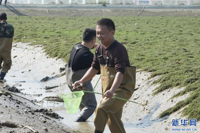 “村超山水蟹”火爆出圈 榕江探索乡村振兴新路径