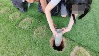 “植存葬”推行两周年　环保殡葬观念逐渐普及