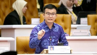 州议会| 张迪翔：牛游荡问题扰民 吁展开联合执法行动