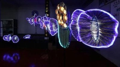 【永续邦咯岛／03】不仅仅是旅游岛，如何创生邦咯岛的未来？