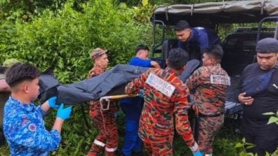 七旬长者失踪多日 搜寻队丛林寻获遗体