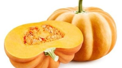 万圣节送毛孩最好的礼物，南瓜是毛孩的天然食材