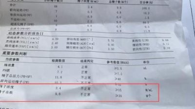 丈夫结扎9个月妻子却怀孕 女子怒轰医院手术失误索赔