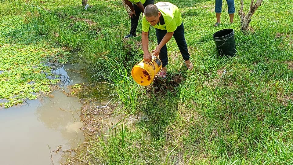 东:(已签发)马来西亚觉之家观音菩萨出家日祈福法会 弘扬慈悲与善念