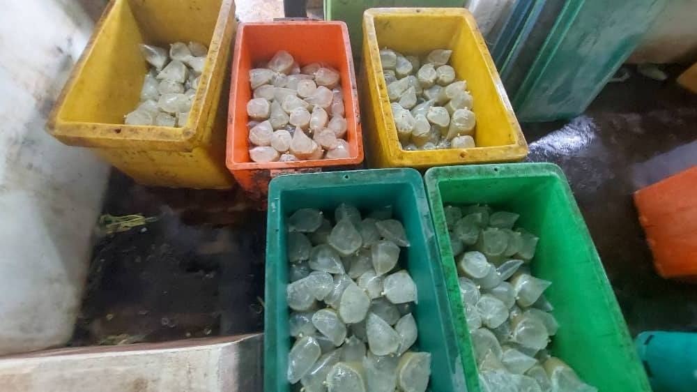 东（已签发）：东南部普通行动部队（PGA）成功捣破一个哥冬水的加工和分销活动