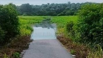 水位上涨 北根水灾风险高