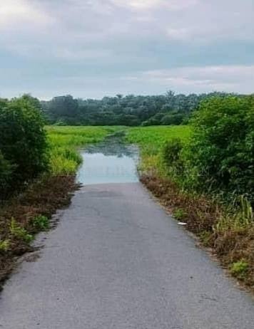 东（已签发）：北根水位上涨，水灾风险高。