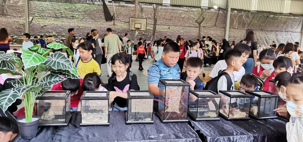 东（已签发）：士满慕华小“迷你动物园”庆儿童节