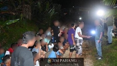 移民局与关税局展开联合取缔行动 捕57非法入境者