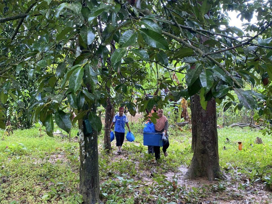 东（已签）:凌晨持续暴雨，瓜拉吉赖县6个村庄今日清晨起遭遇洪水侵袭。