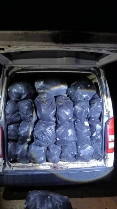 东：丹那美拉警方在巡逻时，在一辆休旅车里搜出重达约1400公斤的哥冬叶。