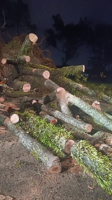 东:已签发:暴风雨夜袭关丹!导致关丹市超过60间房屋遭殃,并发生至少13宗树木倒塌事件。