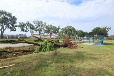 暴风雨夜袭关丹！超过60间房屋遭殃 至少13宗树木倒塌事件