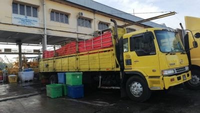 冰块短缺 海产变质  30公吨鲜鱼沦廉价饲料