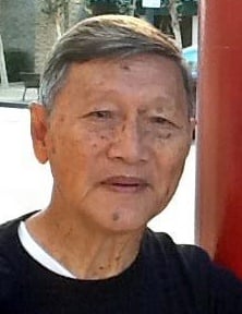 东：牛只路上游荡惹祸  遇事者心有余悸