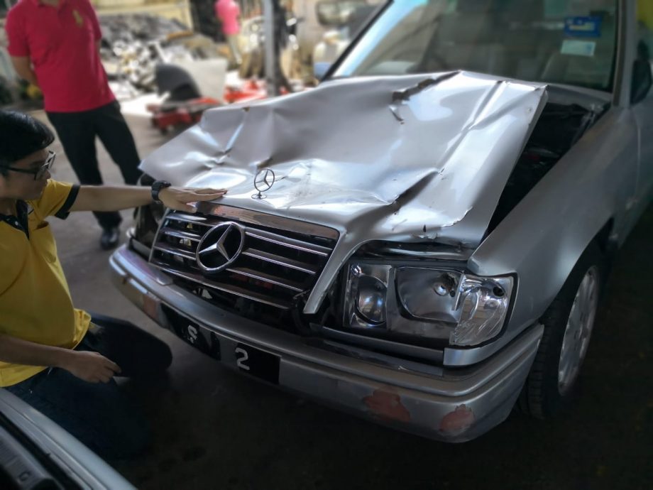 东：牛只路上游荡惹祸  遇事者心有余悸