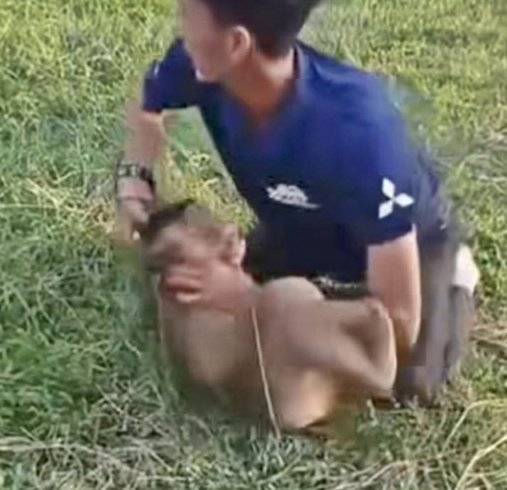 东:警方扣留了2名年龄分别为24岁和28岁的男子,以协助调查一宗一周前在社交媒体上疯传的虐待猴子案件。