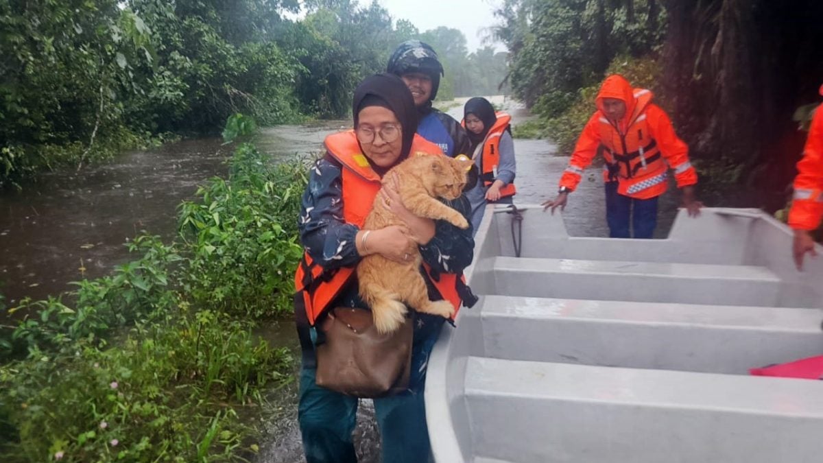 东：连续豪雨引发水灾，登州6县受影响，截至今日上午10时，共有852名灾民被疏散。