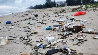 随东北季风冲上岸 登海岸现大量海漂垃圾