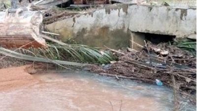 亚益仁耐联邦村委会  清除河道枯枝防水患