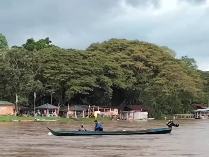 东:(已签发)淡比灵河涌现大量欧洲鲤鱼 预告季风来临