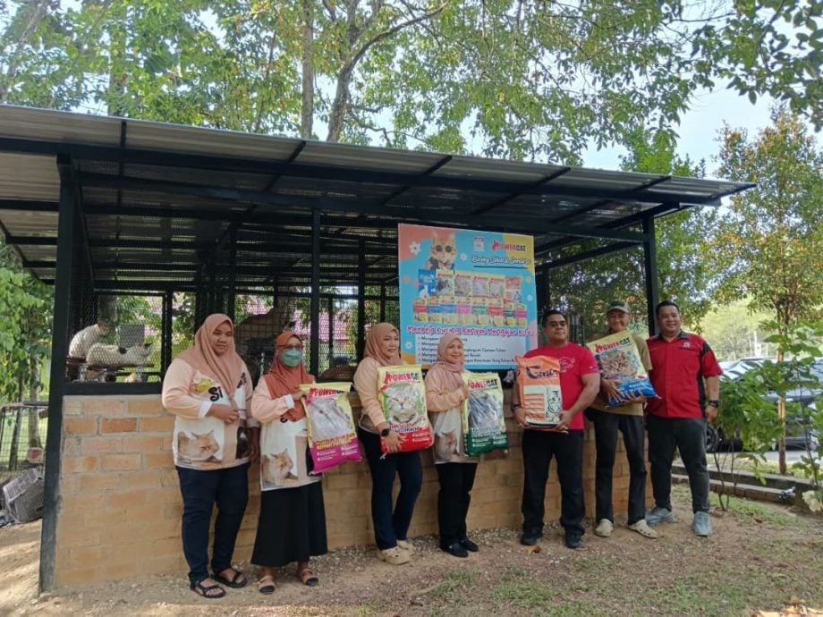 东:(已签发)淡马鲁爱猫俱乐部呼吁民众领养“毛孩之家”流浪猫