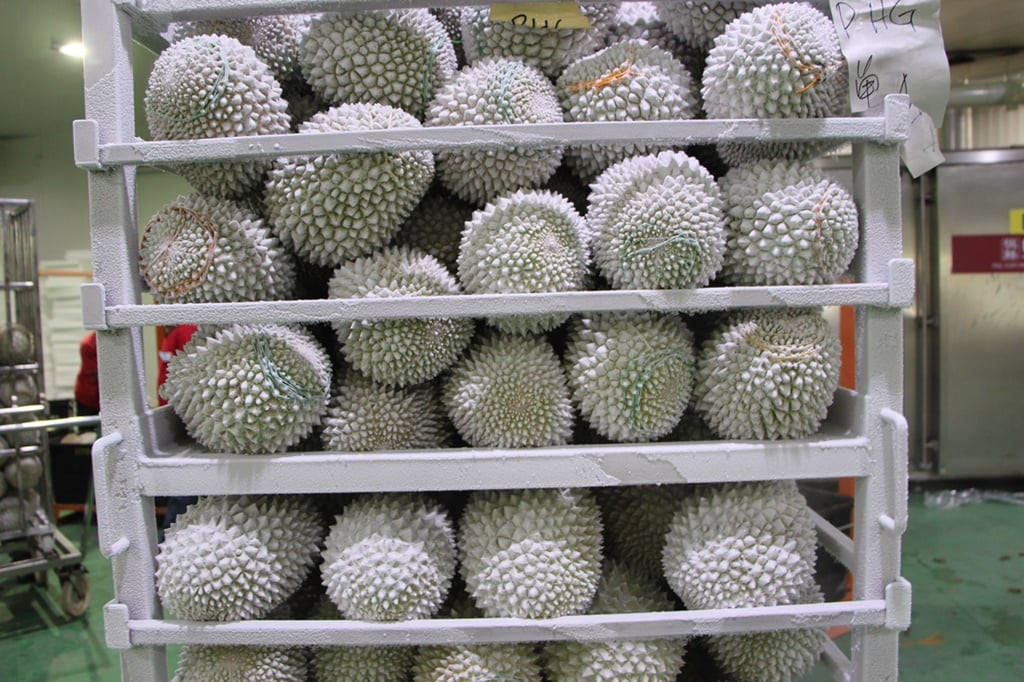 东:(未签发)劳勿榴梿评级沸沸扬扬,叶秋德:收果商及农民皆错