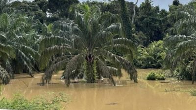 乌雪县再有地区“沦陷” 乌鲁安南4甘榜水灾