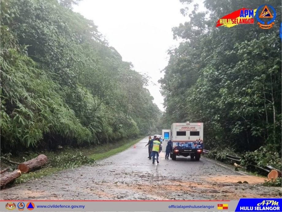 乌雪树倒路陷 车胎撞洞爆裂