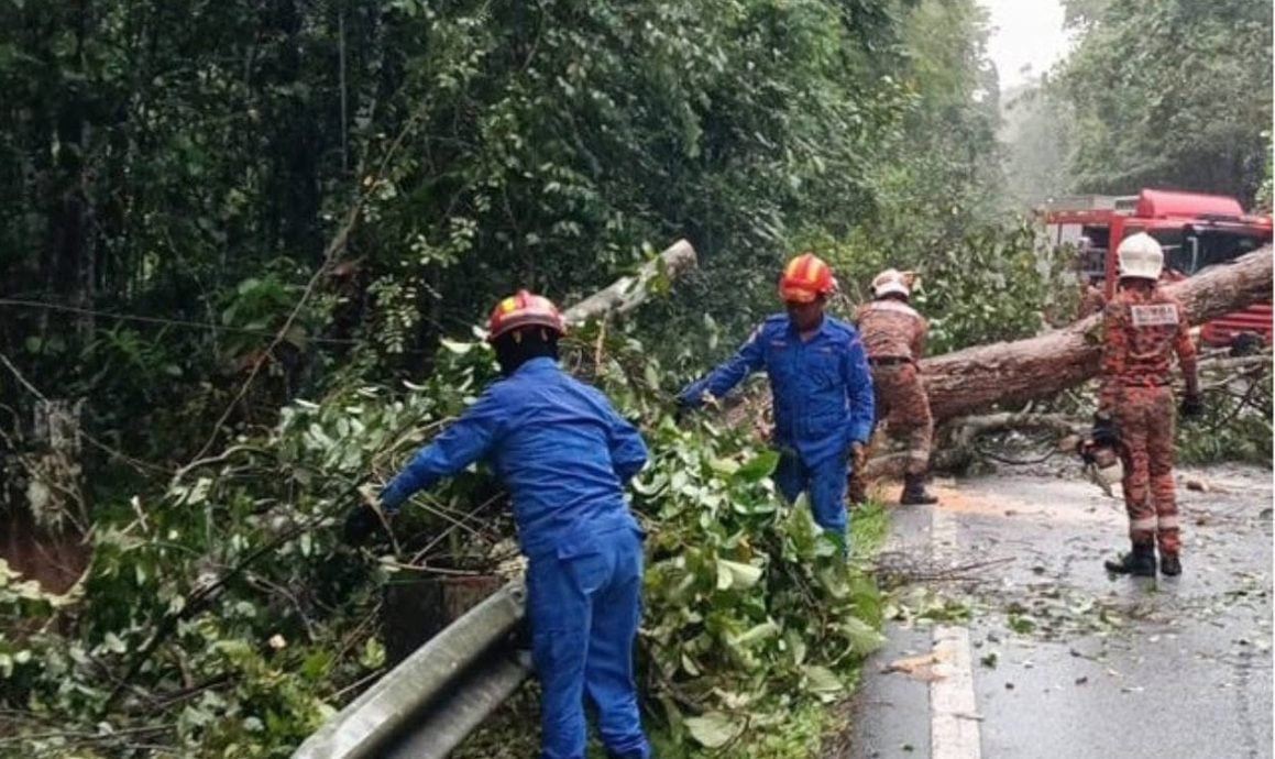 乌雪树倒路陷 车胎撞洞爆裂