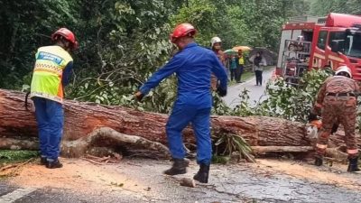 连夜暴雨 乌雪树倒路陷 车胎撞洞爆裂
