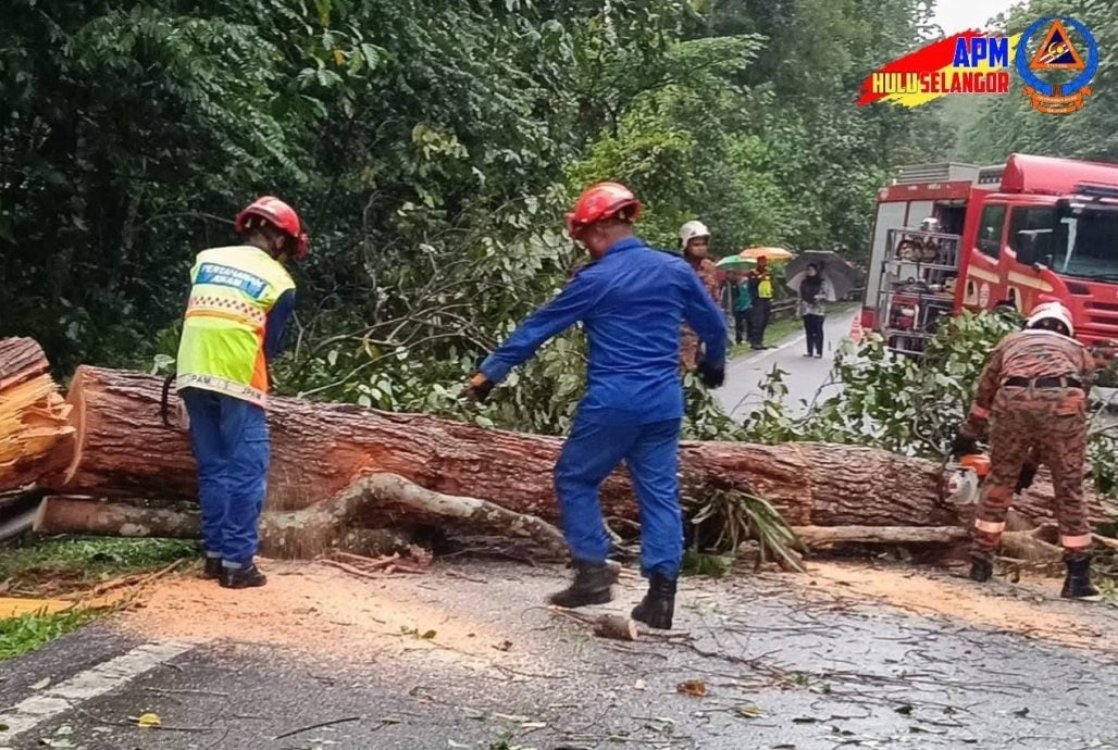 乌雪树倒路陷 车胎撞洞爆裂
