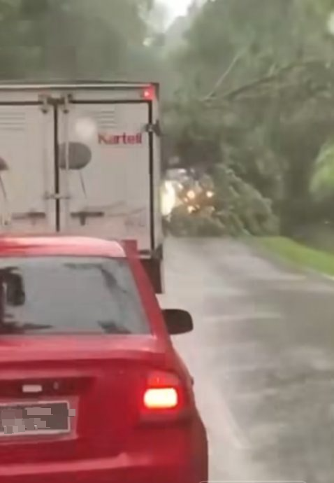 乌雪树倒路陷 车胎撞洞爆裂