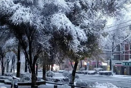 乌鲁木齐“特大暴雪”破纪录! 新疆披上银装各地积雪超20公分