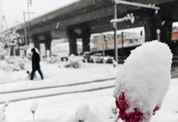 乌鲁木齐“特大暴雪”破纪录! 新疆披上银装各地积雪超20公分
