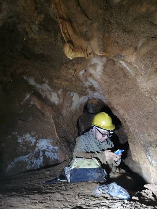 亚洲大陆最南剑齿象化石 象妈妈去哪谜题待解