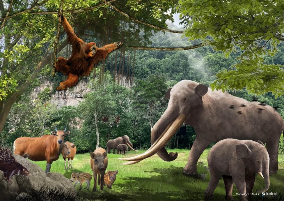 亚洲大陆最南剑齿象化石 象妈妈去哪谜题待解